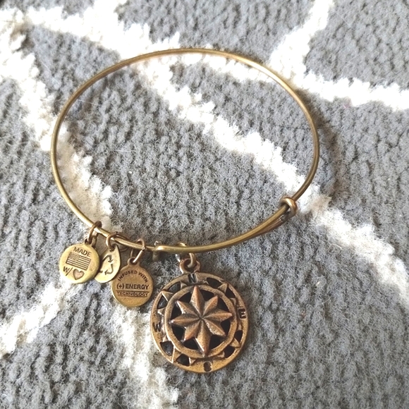 Alex and Ani Compass Bangle Bracelet - Picture 3 of 10